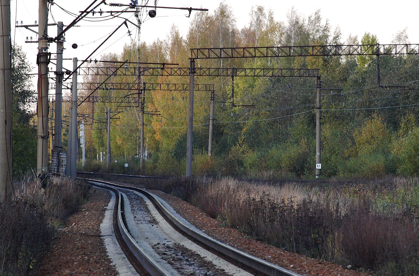 Девяткино, image of landscape/habitat.