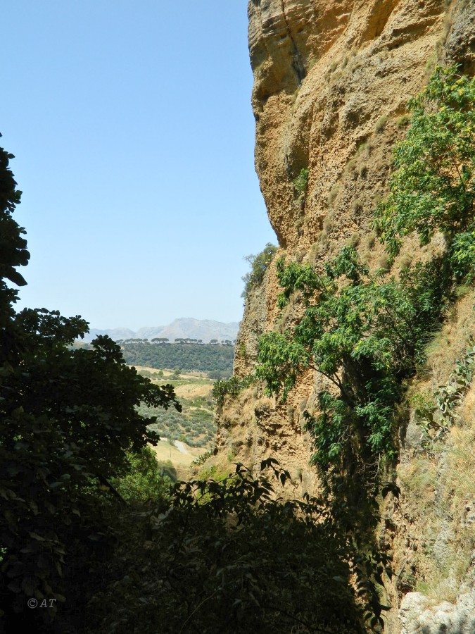 Ронда, image of landscape/habitat.