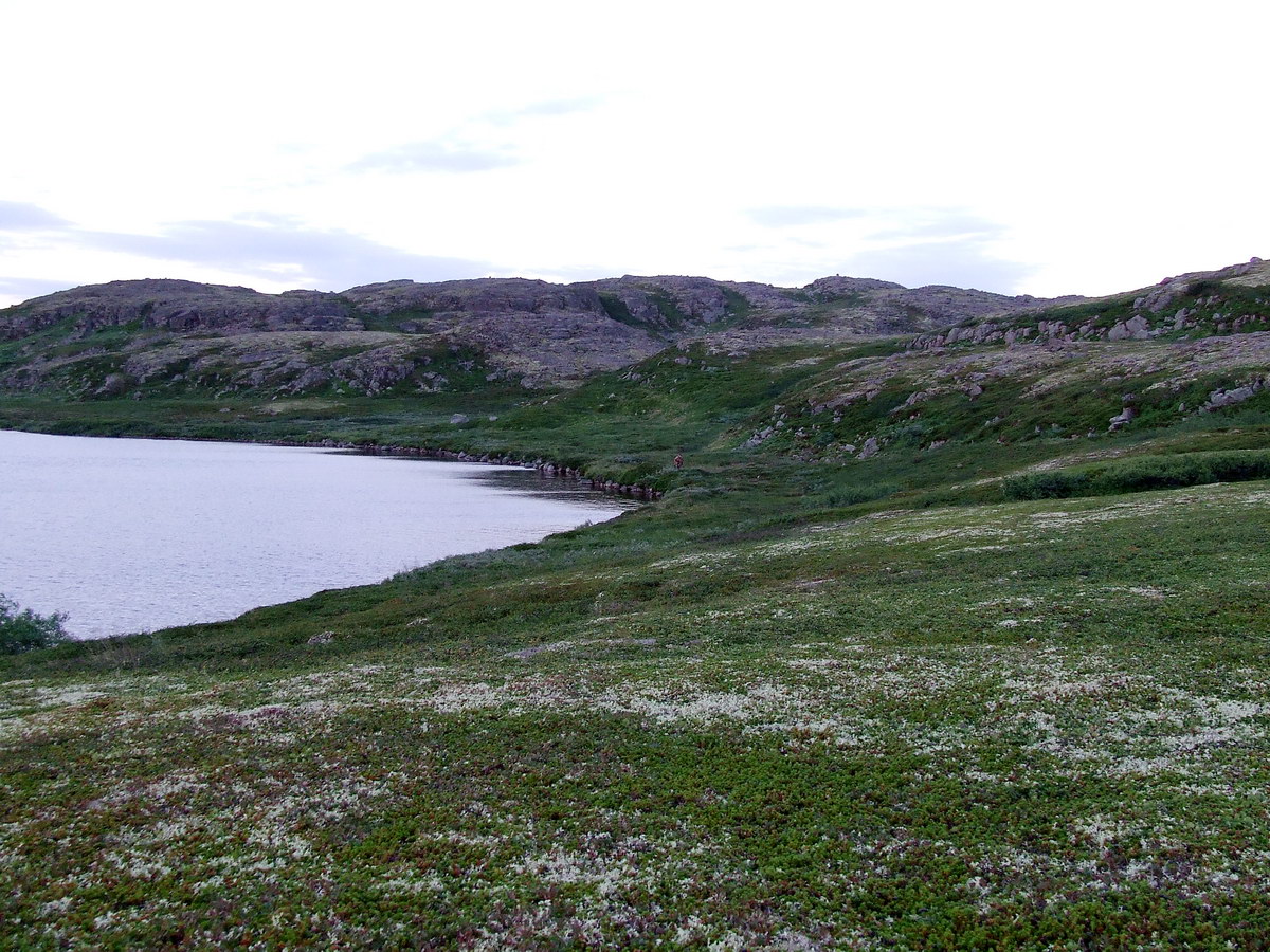 Столбовое озеро, image of landscape/habitat.