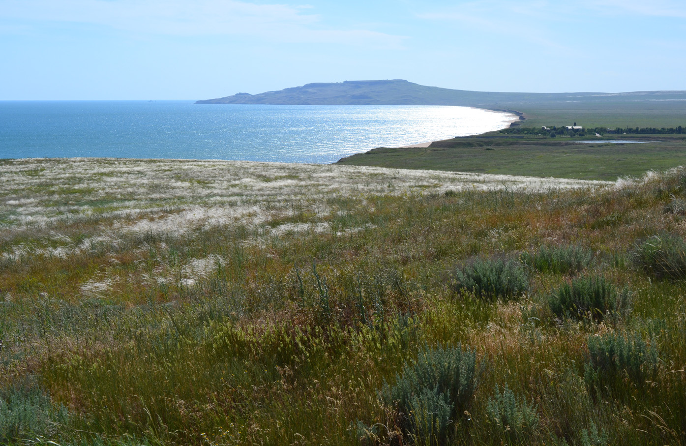 Окр. Яковенково, image of landscape/habitat.