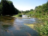 Река Узола, image of landscape/habitat.