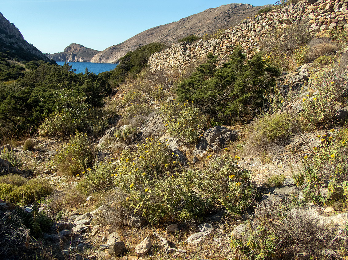 Остров Сирос, изображение ландшафта.