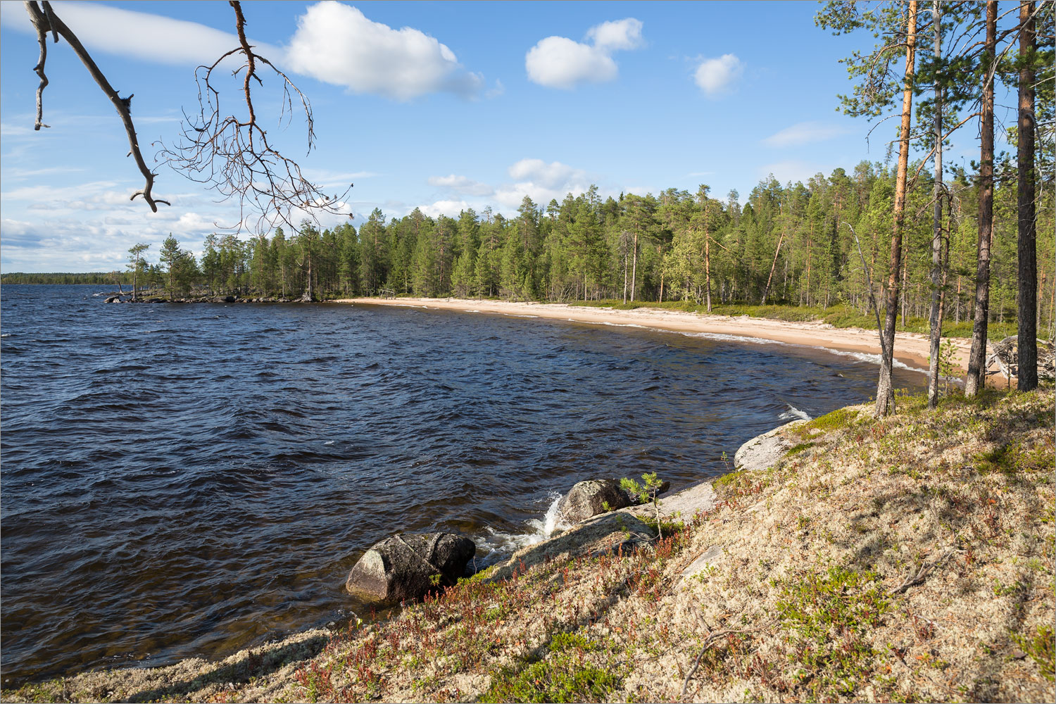 Топозеро, image of landscape/habitat.