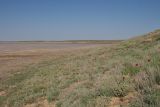 Эльтон, image of landscape/habitat.