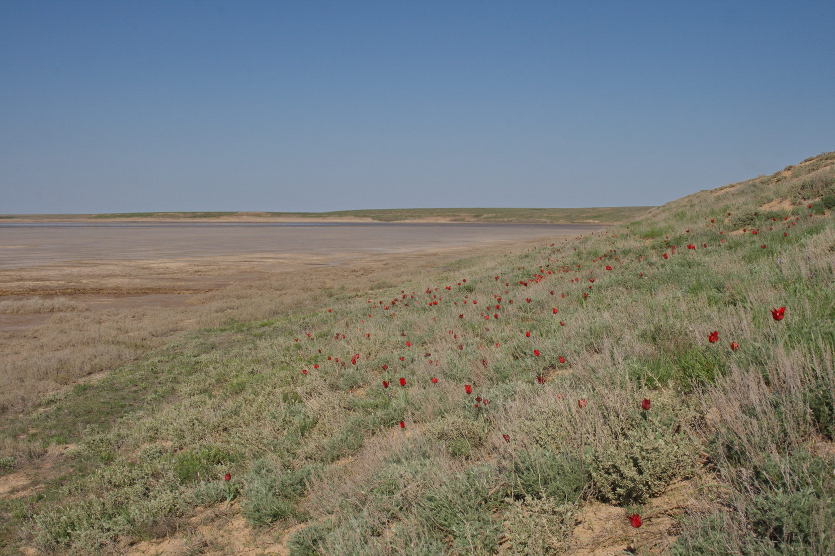 Эльтон, image of landscape/habitat.