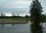 Читинка, верховье, image of landscape/habitat.