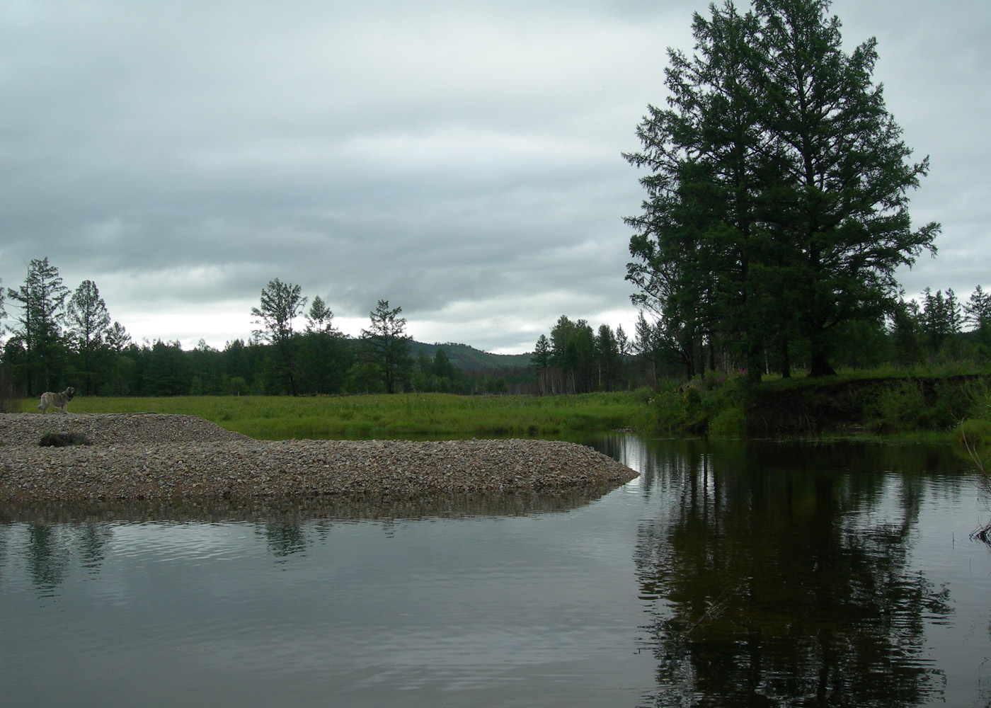 Читинка, верховье, image of landscape/habitat.