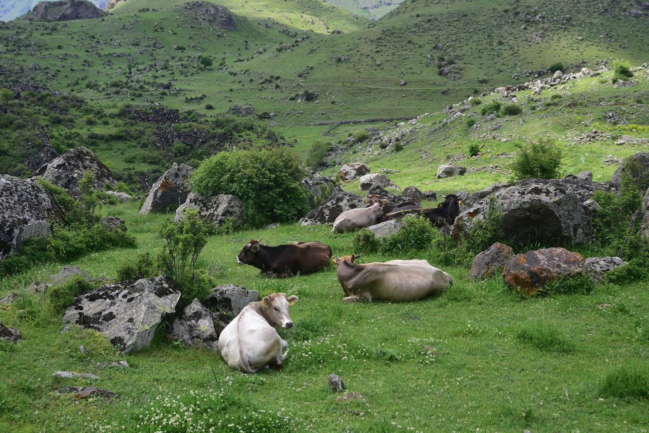 Водопад Чанчкери, image of landscape/habitat.