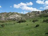 Перевал Алтын-Эмель, image of landscape/habitat.