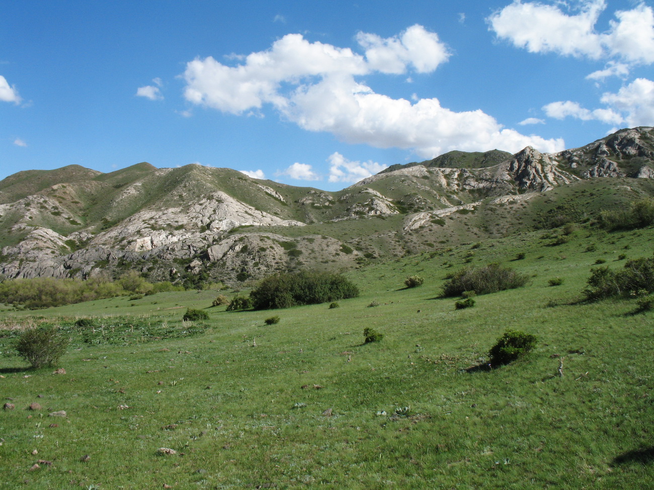 Перевал Алтын-Эмель, image of landscape/habitat.