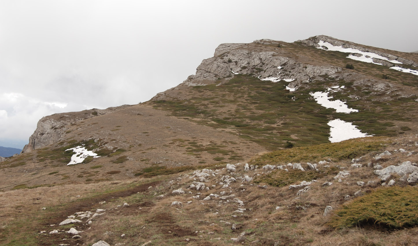 Чатырдаг (верхнее плато), image of landscape/habitat.