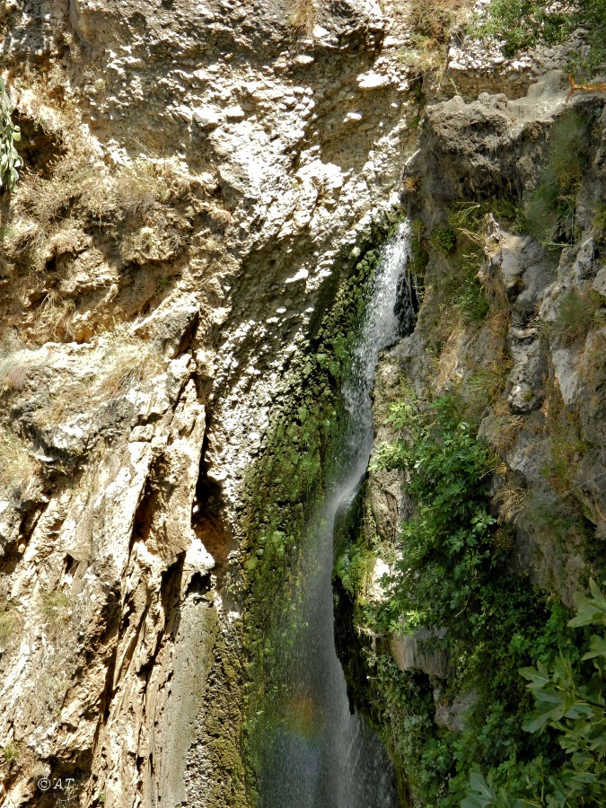 Ронда, image of landscape/habitat.