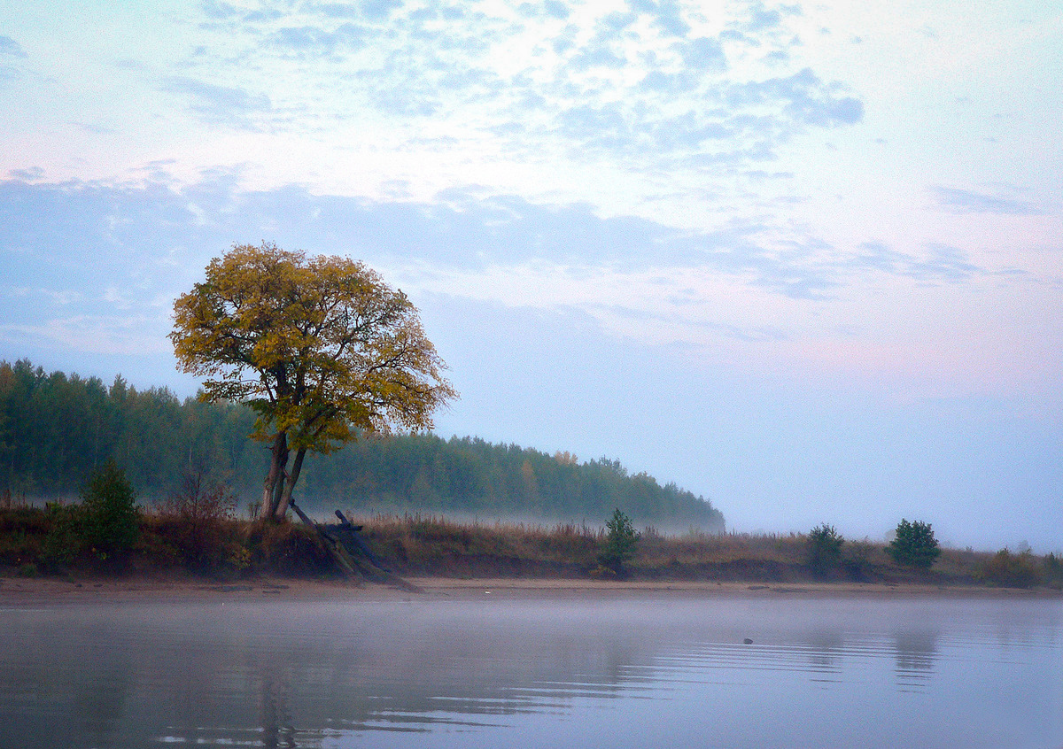 Закамск, image of landscape/habitat.