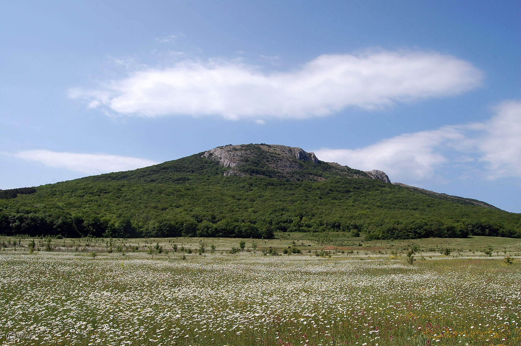 Байдарская долина, image of landscape/habitat.