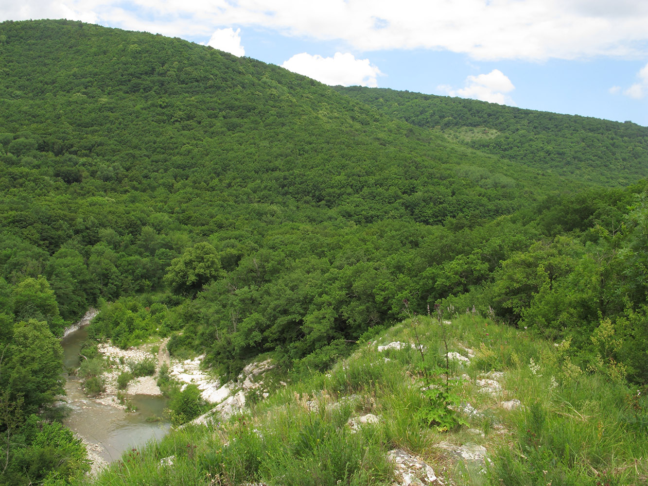 Окрестности Шапсугской, image of landscape/habitat.