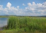 Долина реки Ик, image of landscape/habitat.