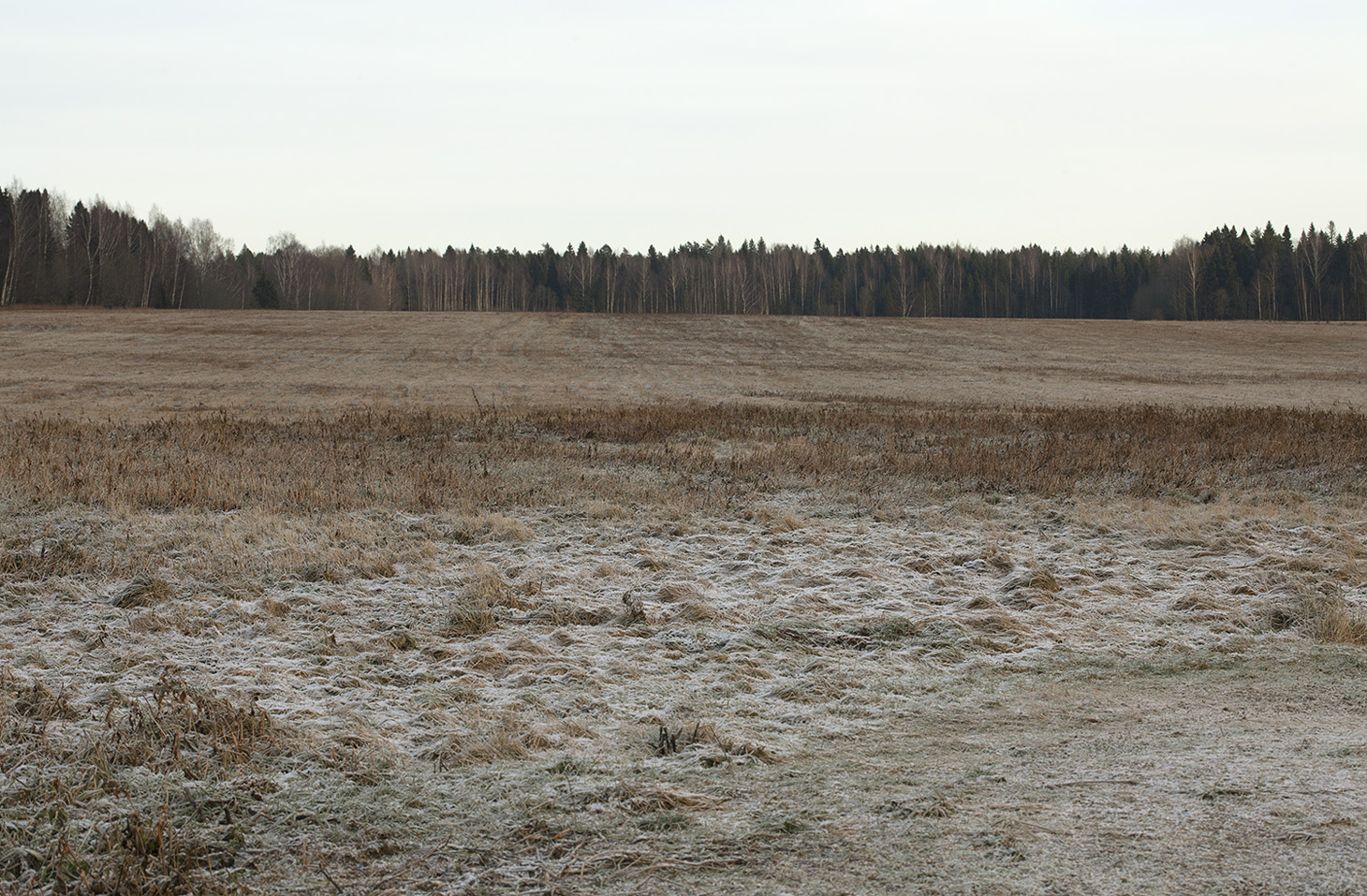 Антипино, image of landscape/habitat.