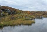 Тундра у Печенгской дороги, image of landscape/habitat.