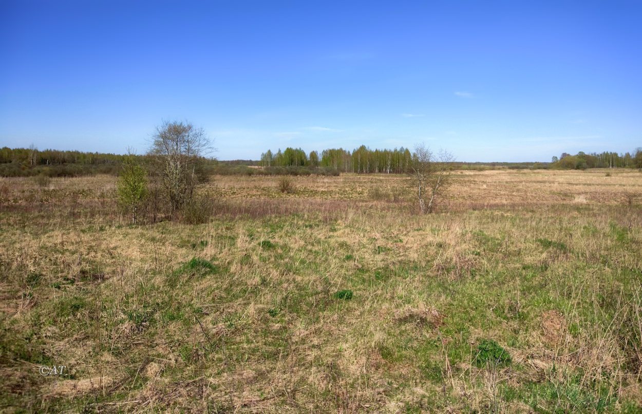 Верховья Каспли, image of landscape/habitat.