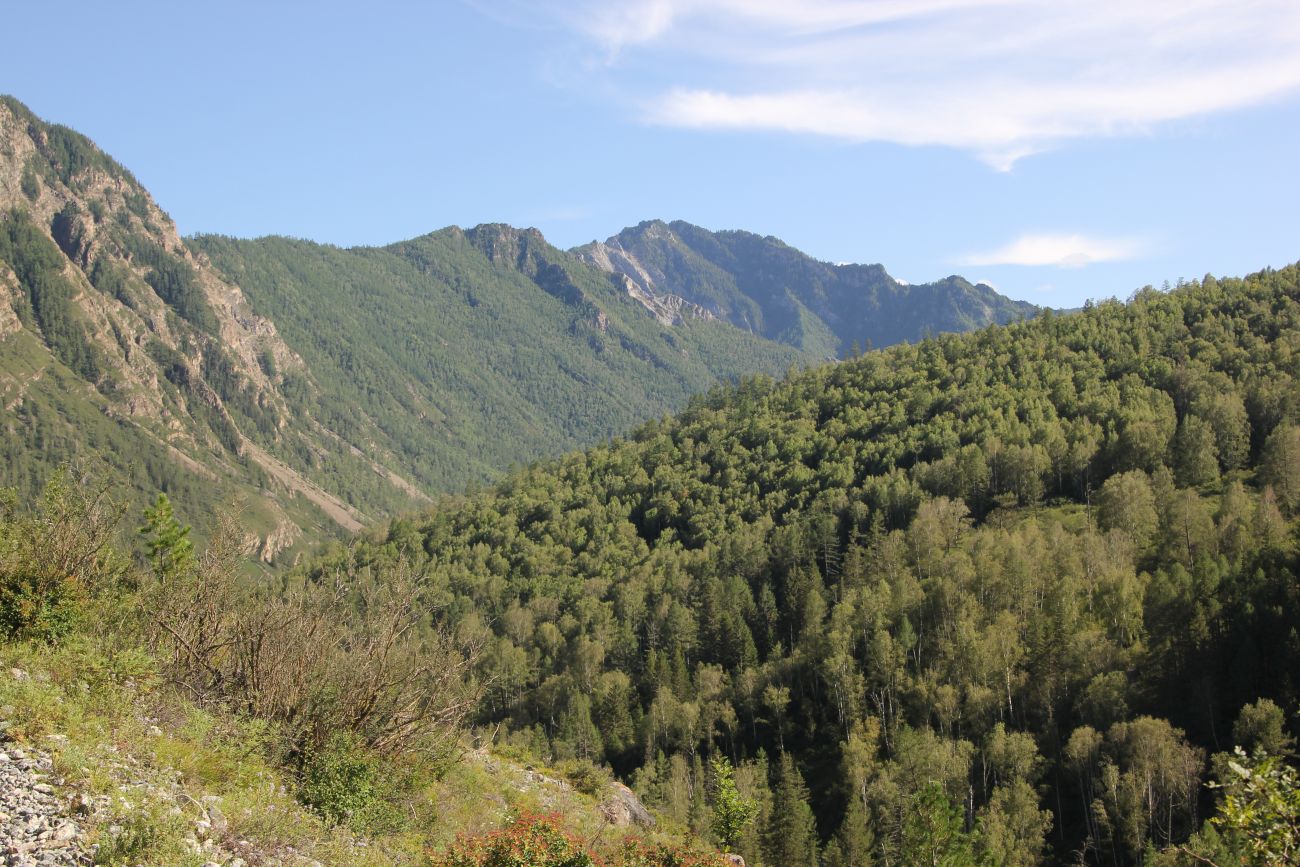 Окрестности реки Казнахта, image of landscape/habitat.