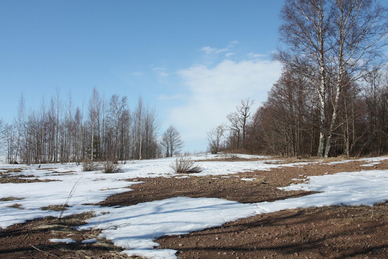Шепелёвский маяк, image of landscape/habitat.