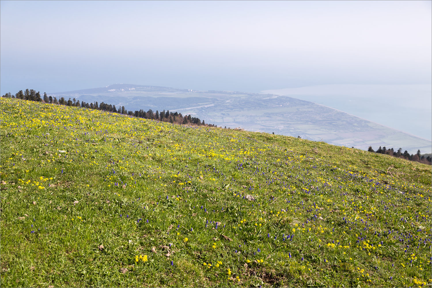 Мамдзышха, image of landscape/habitat.