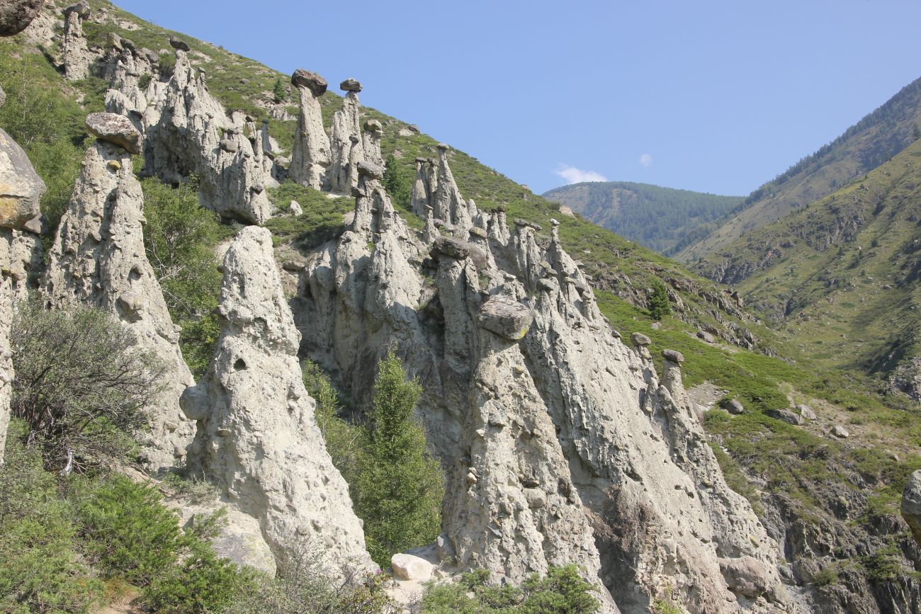 Ак-Курум и окрестности, image of landscape/habitat.