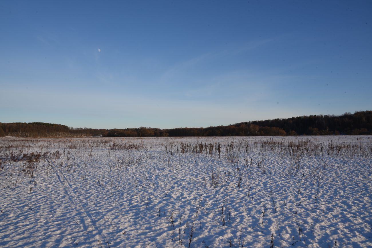 Барский Луг, image of landscape/habitat.