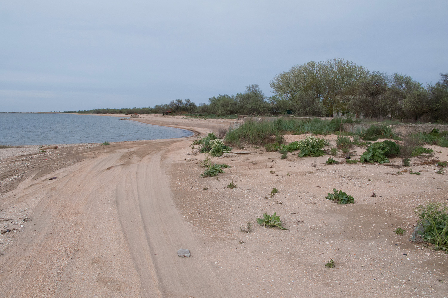 Куликовское гирло, image of landscape/habitat.
