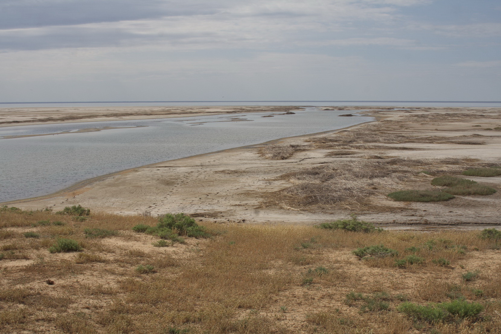 Эльтон, image of landscape/habitat.