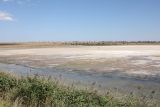 Айгульское озеро, image of landscape/habitat.