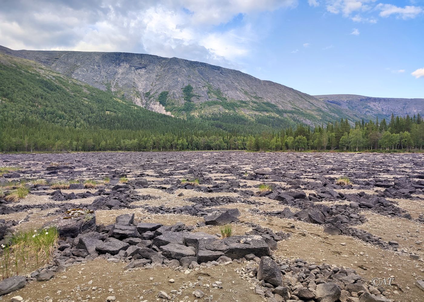 Подножие хребта Путелличорр, image of landscape/habitat.