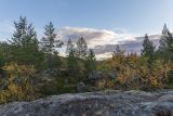 Река Ура, image of landscape/habitat.