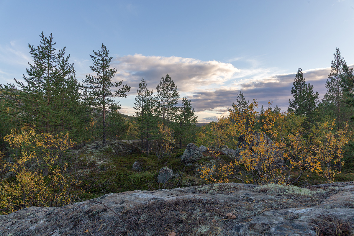 Река Ура, image of landscape/habitat.