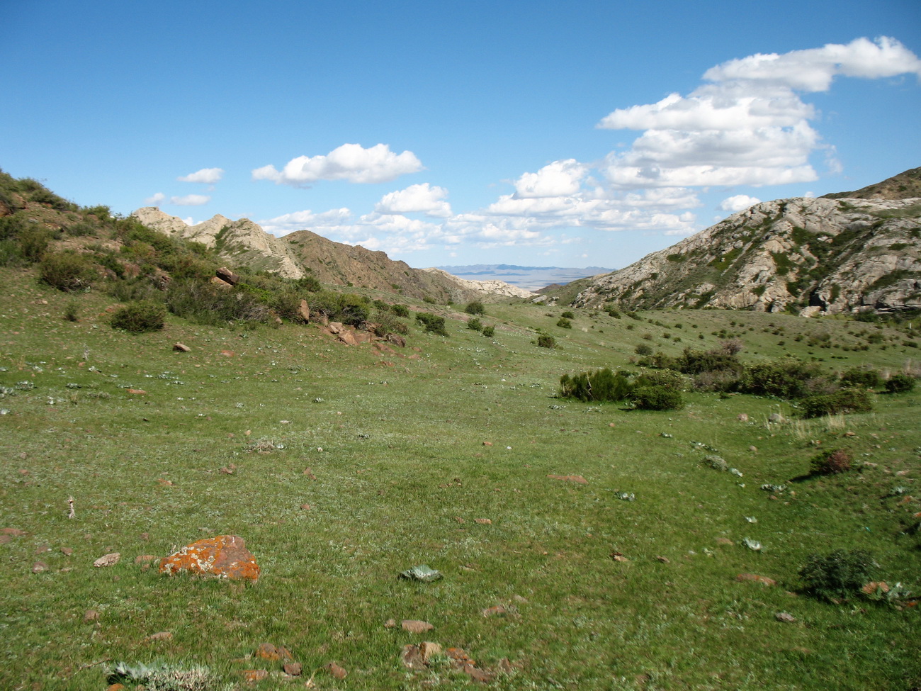 Перевал Алтын-Эмель, image of landscape/habitat.