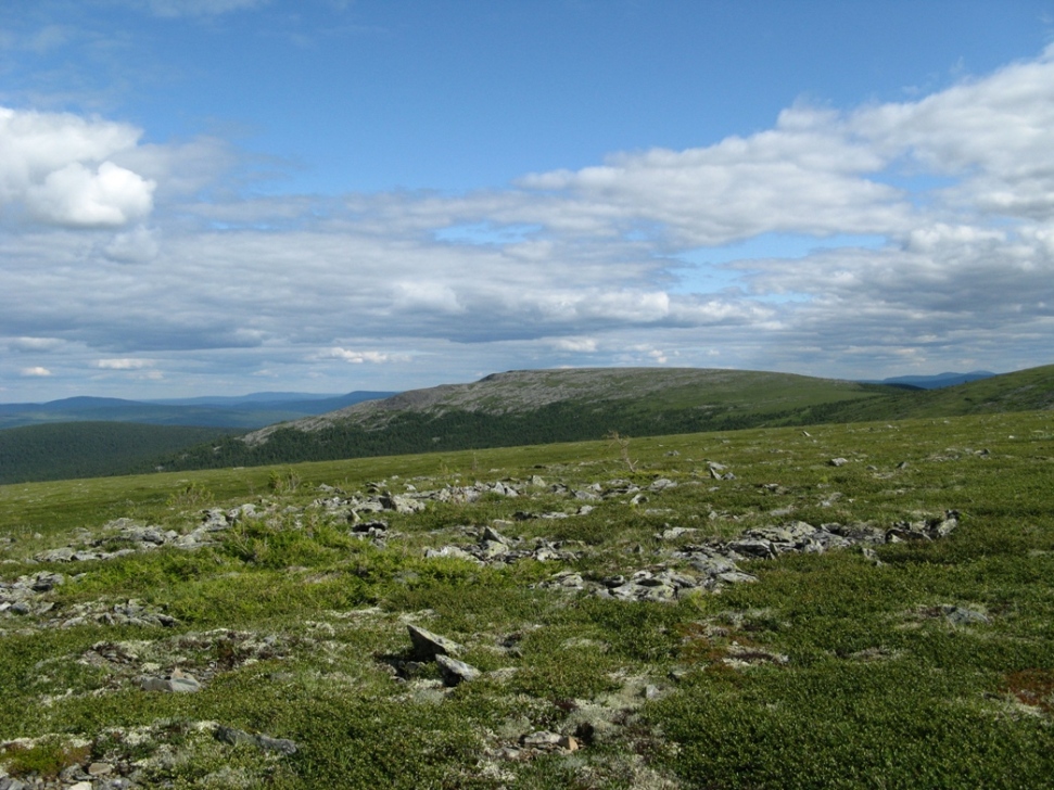 Хребет Молебный Камень, image of landscape/habitat.