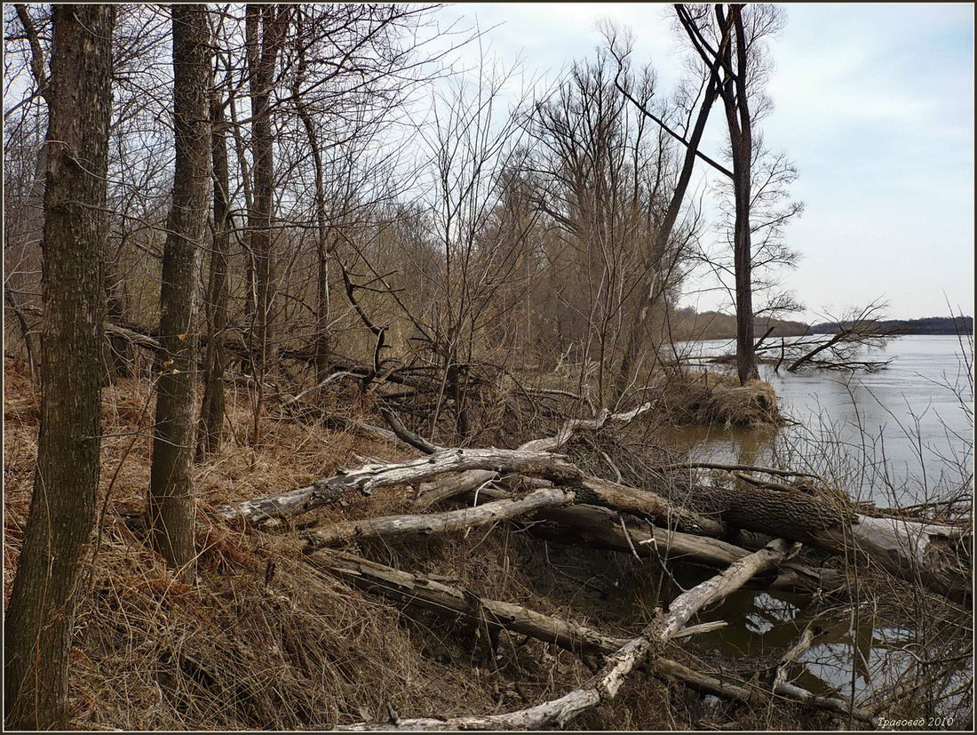 Пойма р. Паланка, image of landscape/habitat.