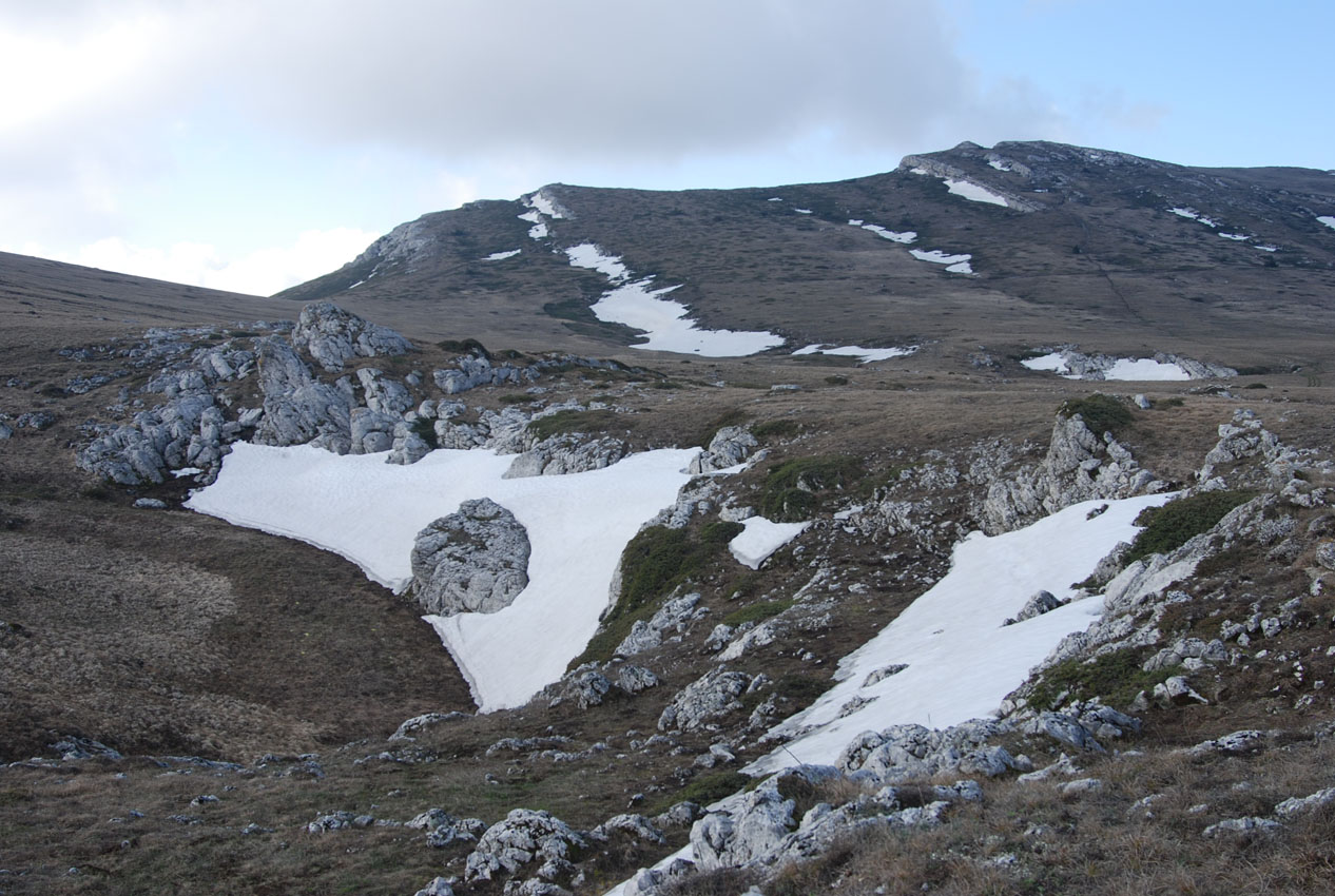 Чатырдаг (верхнее плато), image of landscape/habitat.