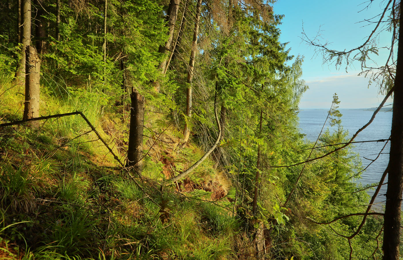 Закамск, image of landscape/habitat.