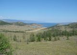 Image of landscape
