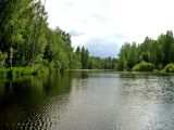 Река Реня, image of landscape/habitat.