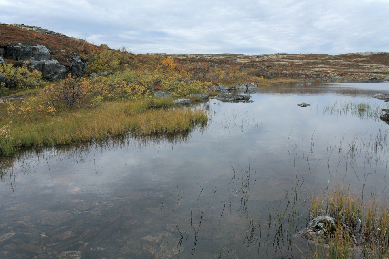 Тундра у Печенгской дороги, image of landscape/habitat.