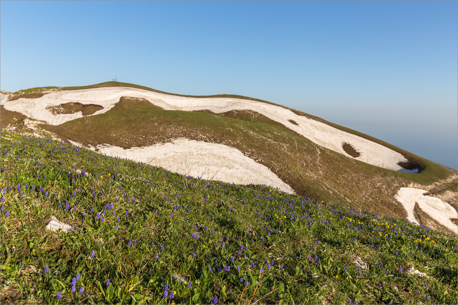 Мамдзышха, image of landscape/habitat.