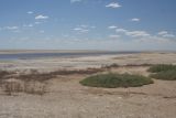 Эльтон, image of landscape/habitat.