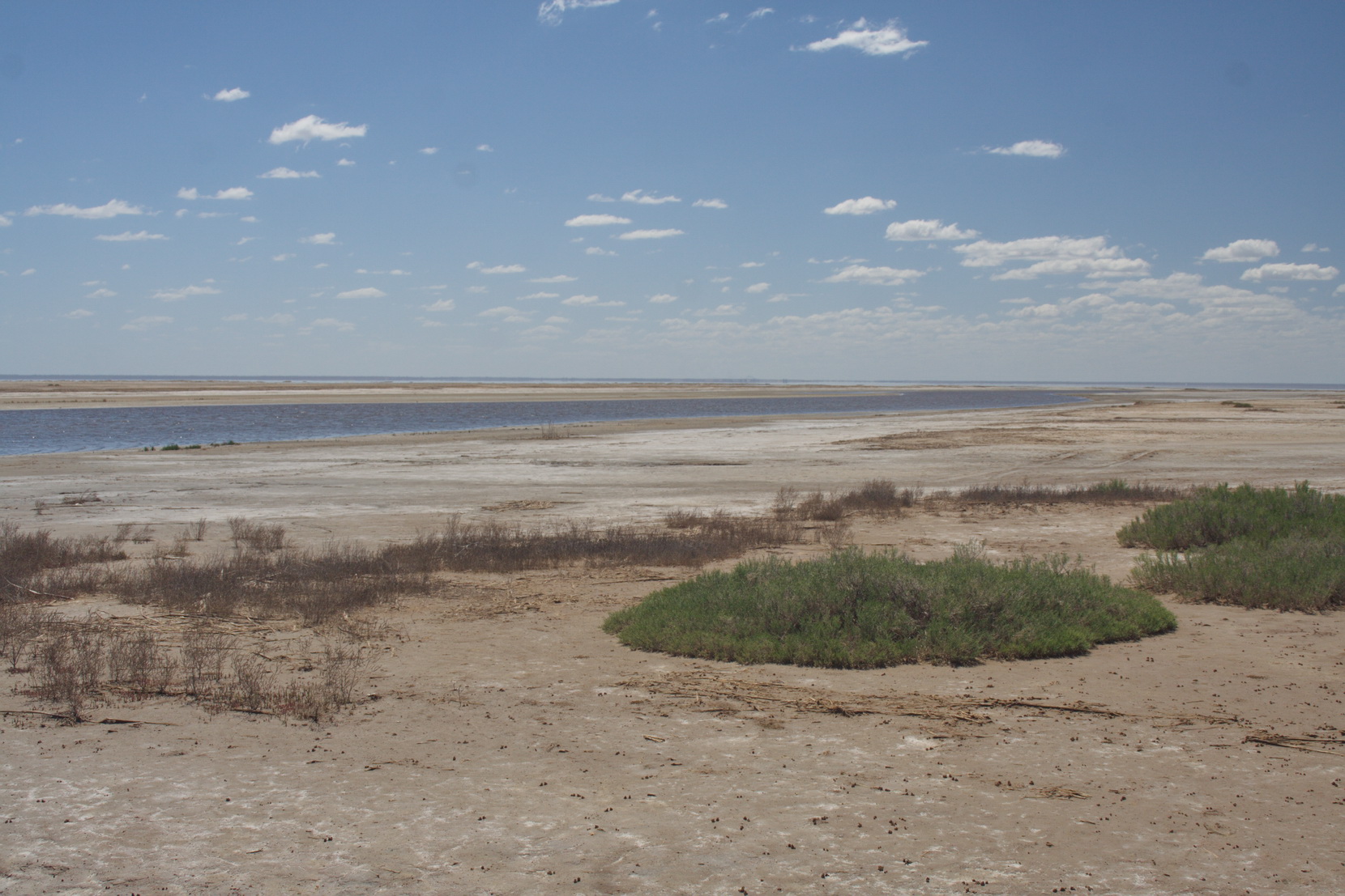 Эльтон, image of landscape/habitat.