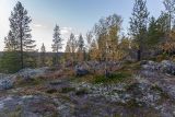 Image of landscape