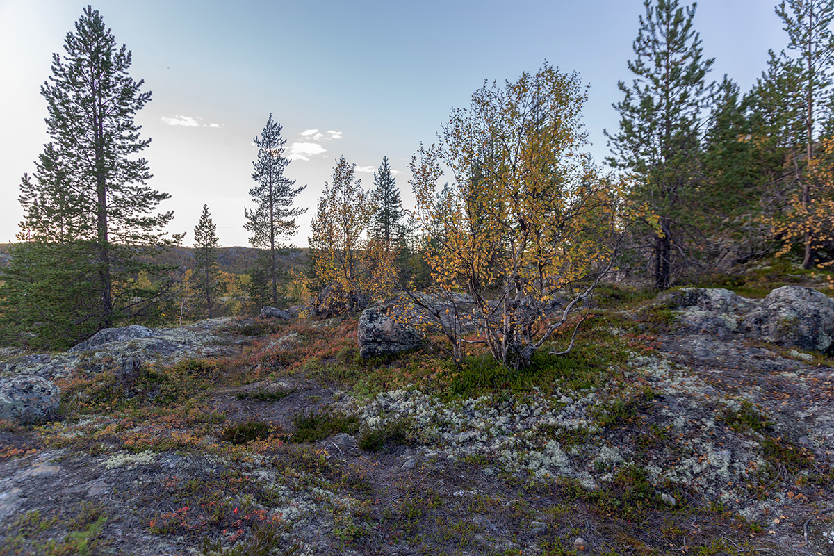 Река Ура, image of landscape/habitat.