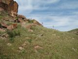 Перевал Архарлы, image of landscape/habitat.