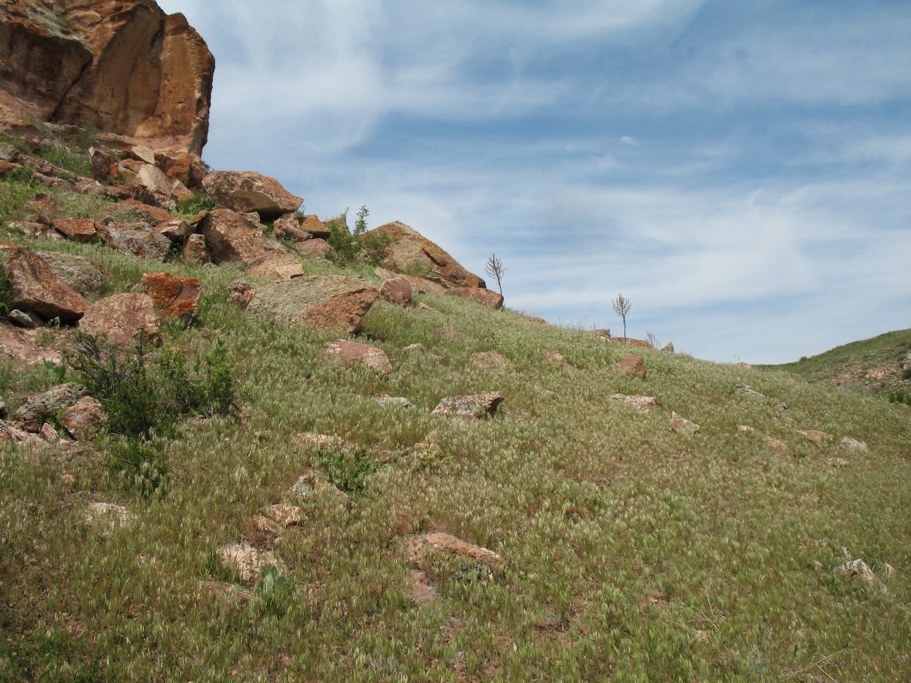 Перевал Архарлы, image of landscape/habitat.