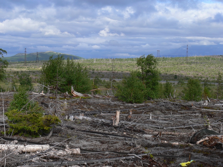 Мончегорск, image of landscape/habitat.